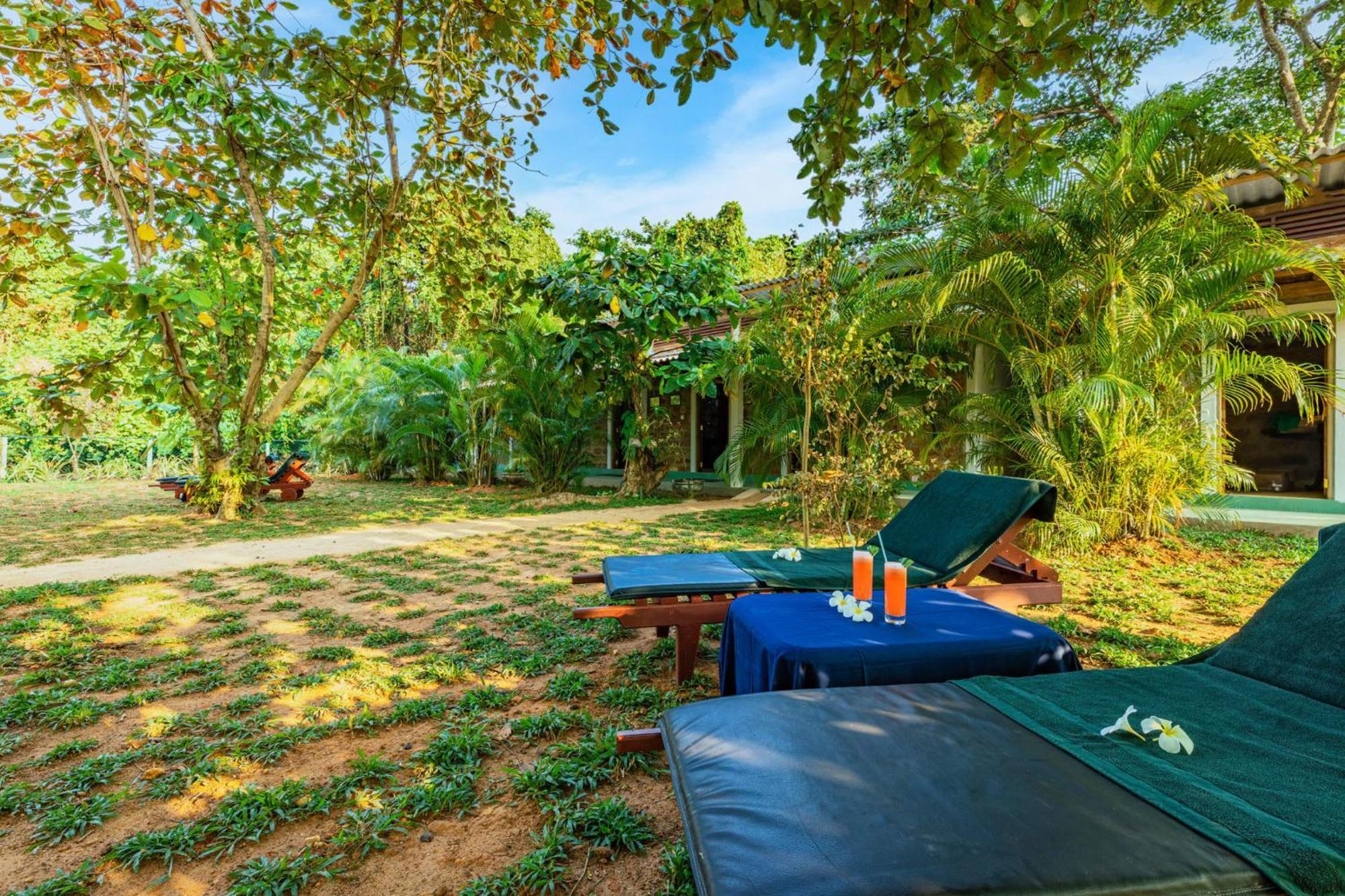 Sath Villa Naadi Ayurveda Resort Moragalla Ngoại thất bức ảnh